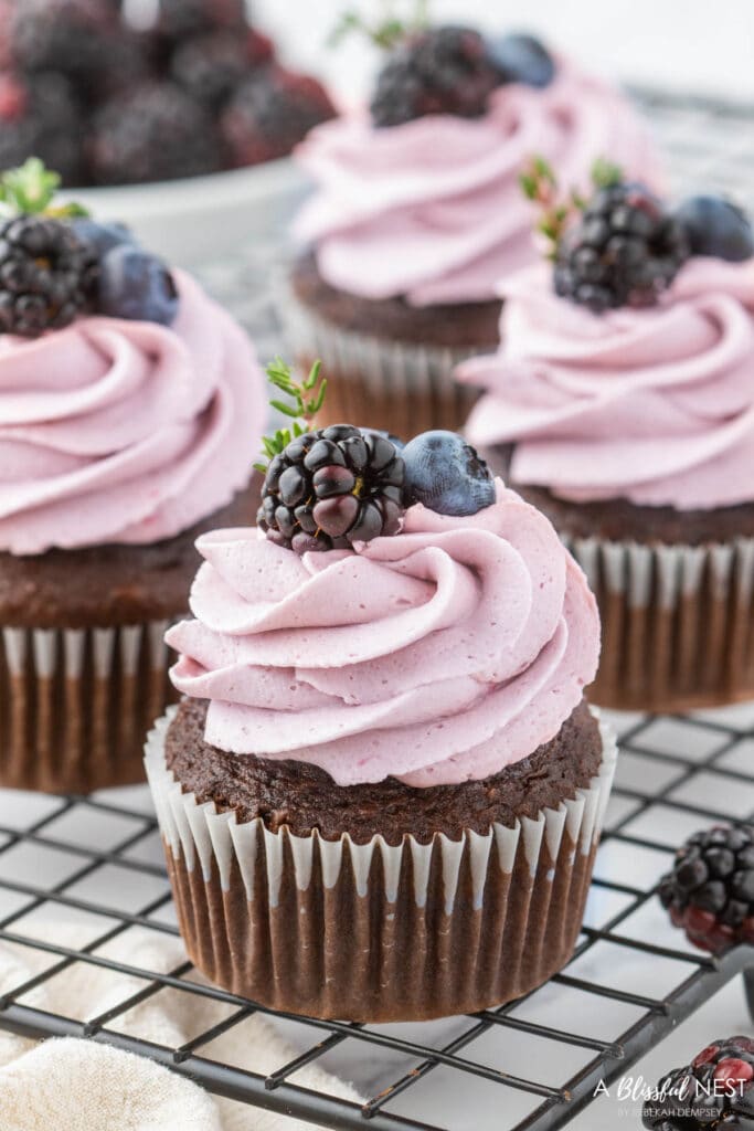 Chocolate Blackberry Cupcakes - A Blissful Nest