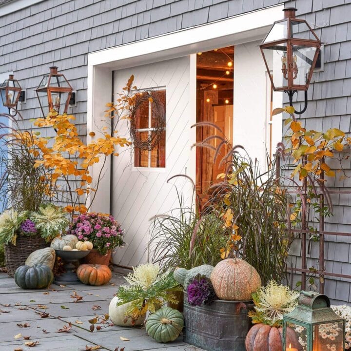 Image for Clustering Pumpkins