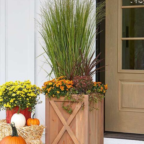 Image for DIY Farmhouse Planter Box