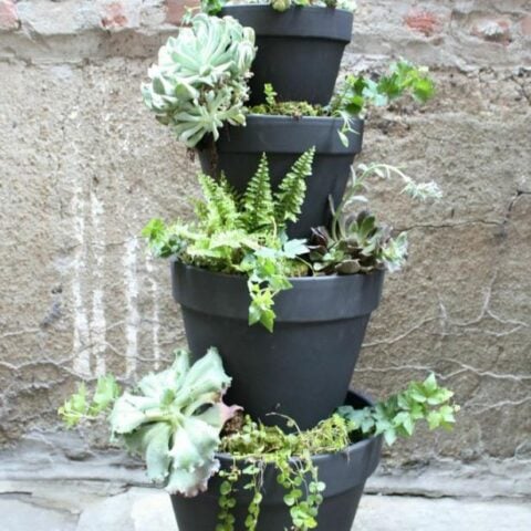 Image for Simple DIY Pots