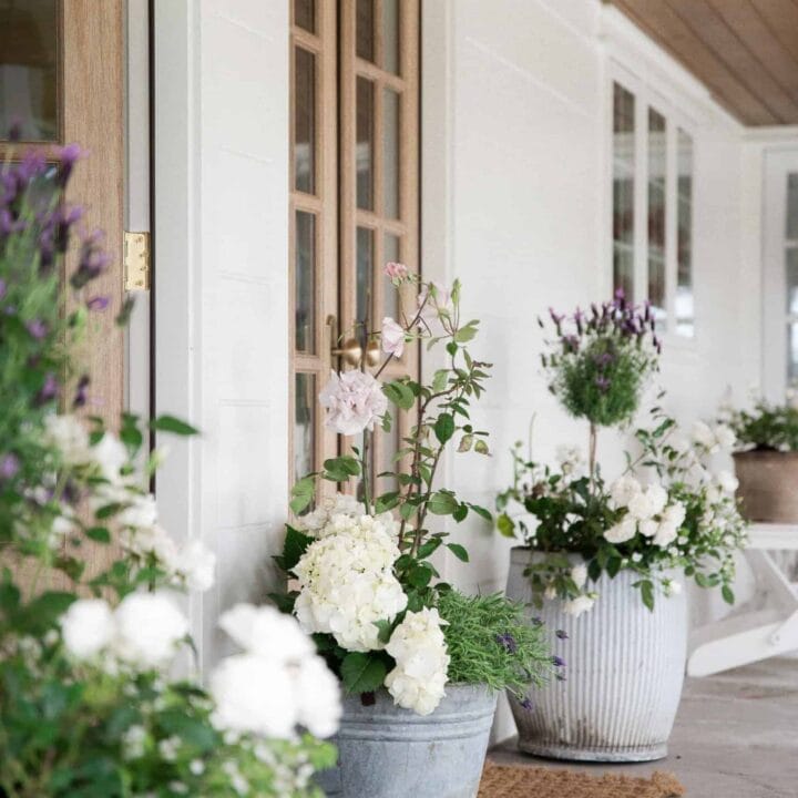 Image for Add Height