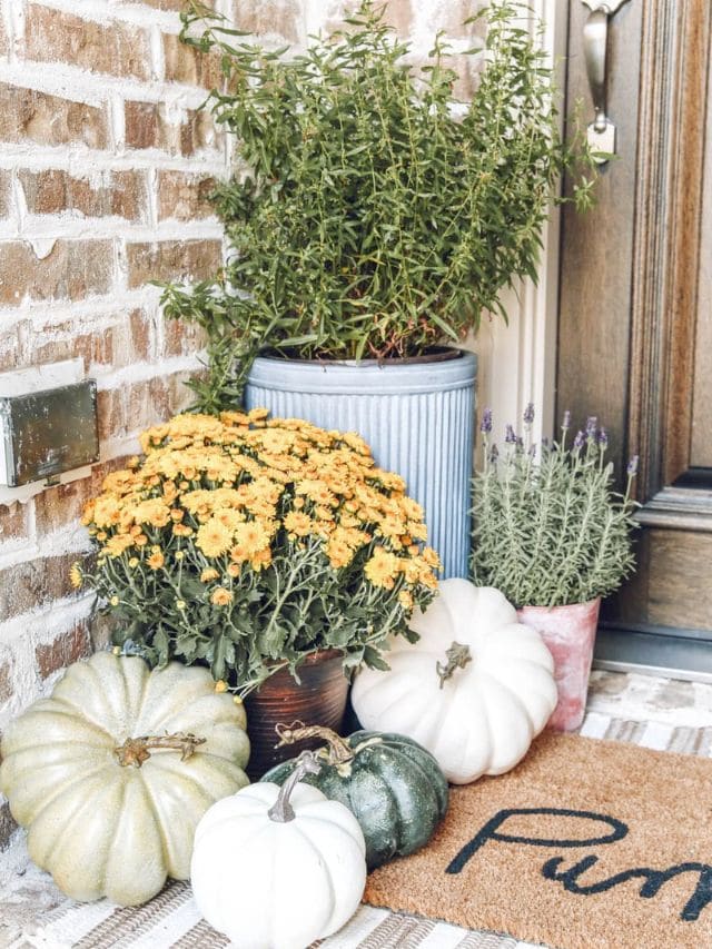 Classic Fall Porch Reveal Story
