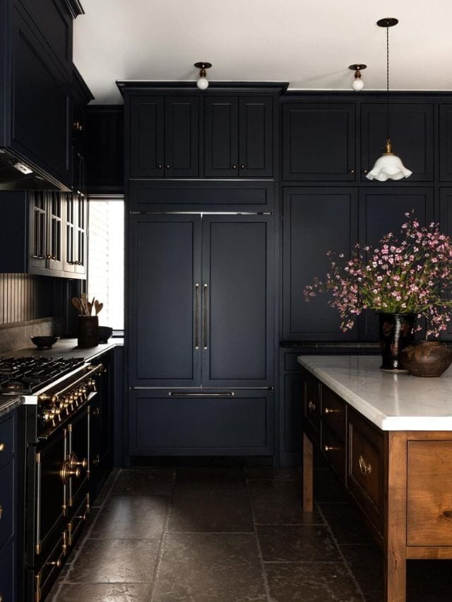 Moody Dark Kitchen Cabinet Colors Story