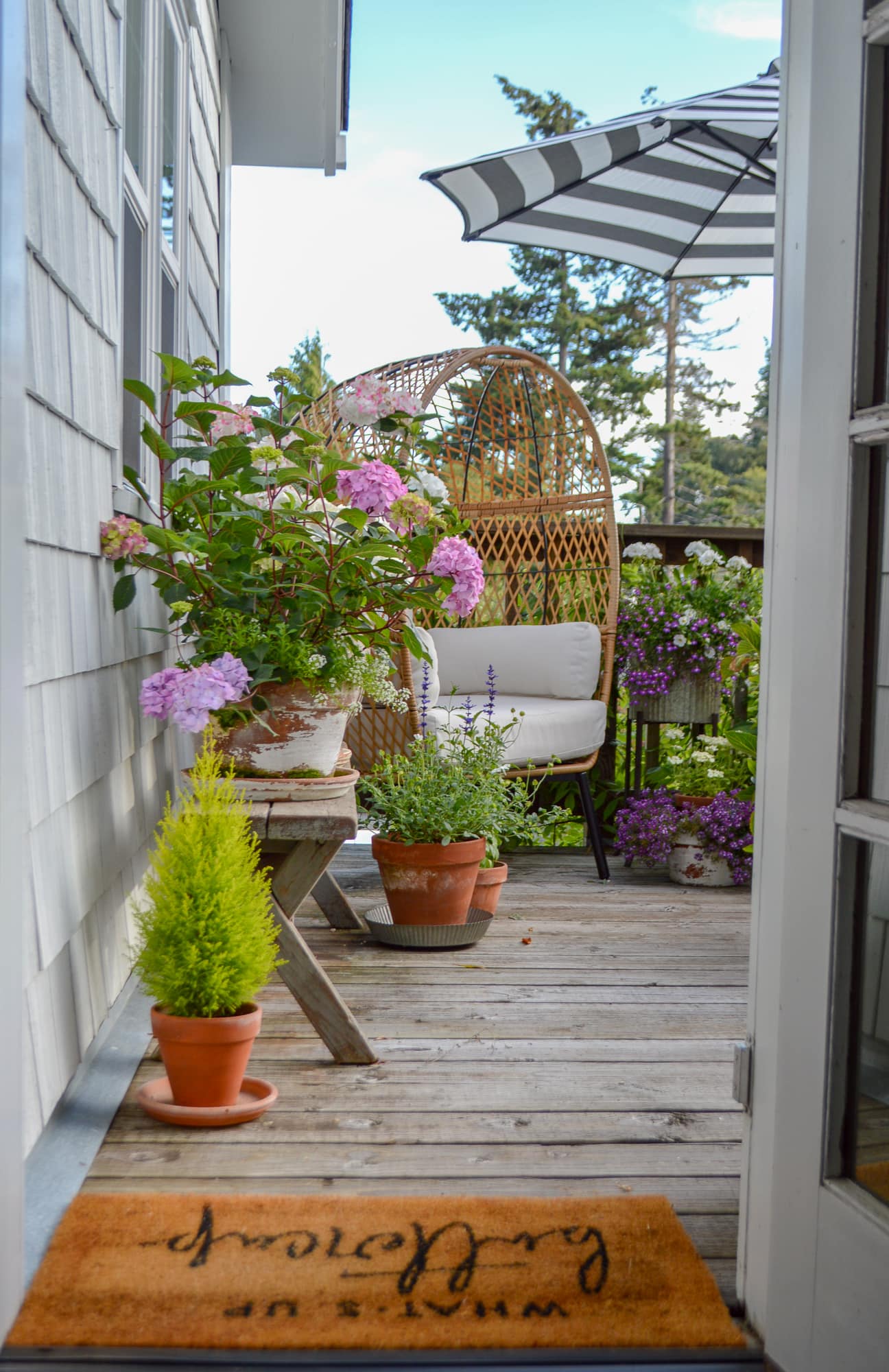 patio with plants and flowers in pots for a container garden