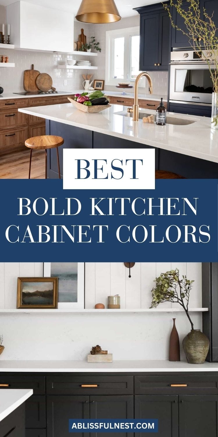 Bold Kitchen Cabinet Colors 