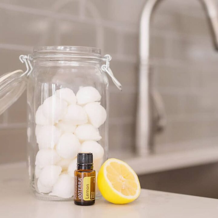 Image for DIY Garbage Disposal Bombs