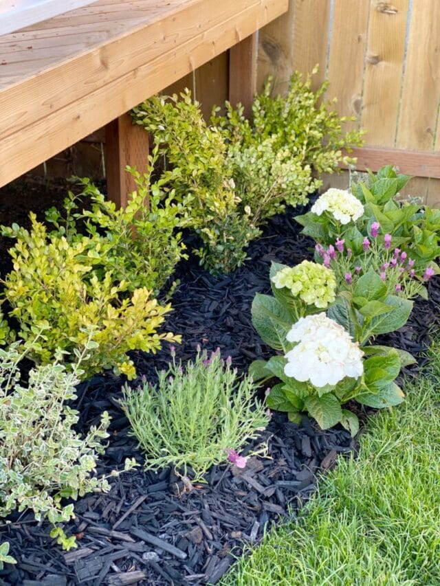 Spring Backyard Garden Spring Backyard Ideas | A Blissful Nest