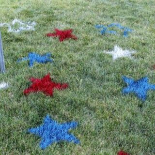 Image for Painted Lawn Stars