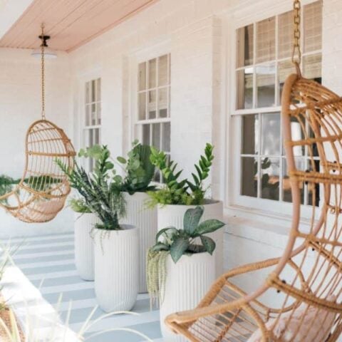 Image for Paint the Floor
