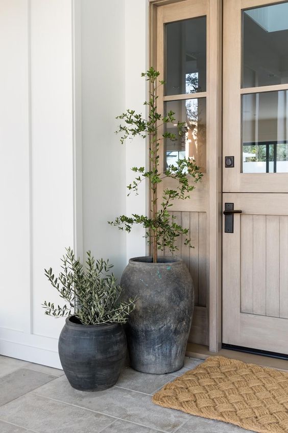 Front Porch Plant Ideas