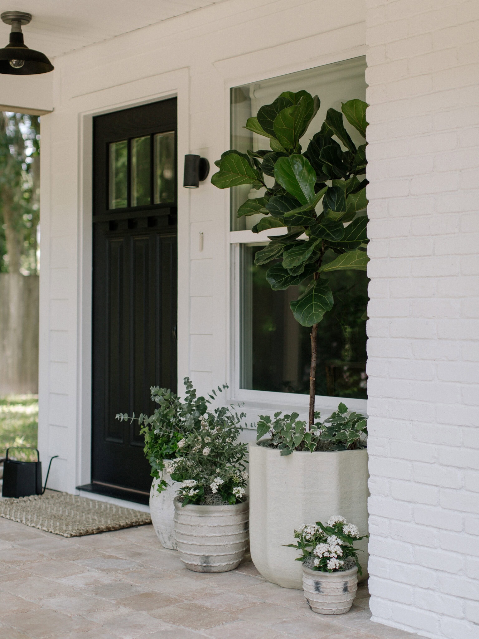 7+ Plants For A Porch Front Porch Plant Ideas | A Blissful Nest