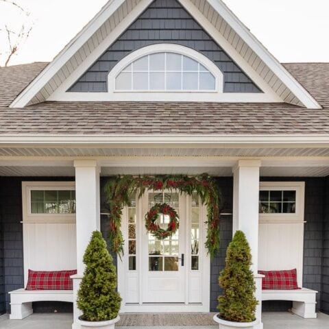 Image for Cozy Pillows & Potted Evergreens