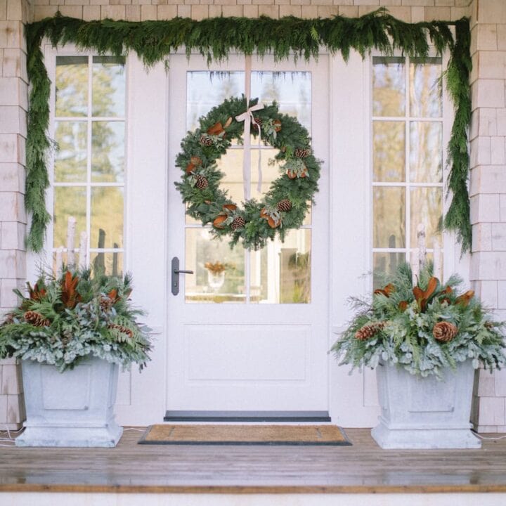 Image for Festive Planters with Pinecones & Evergreens