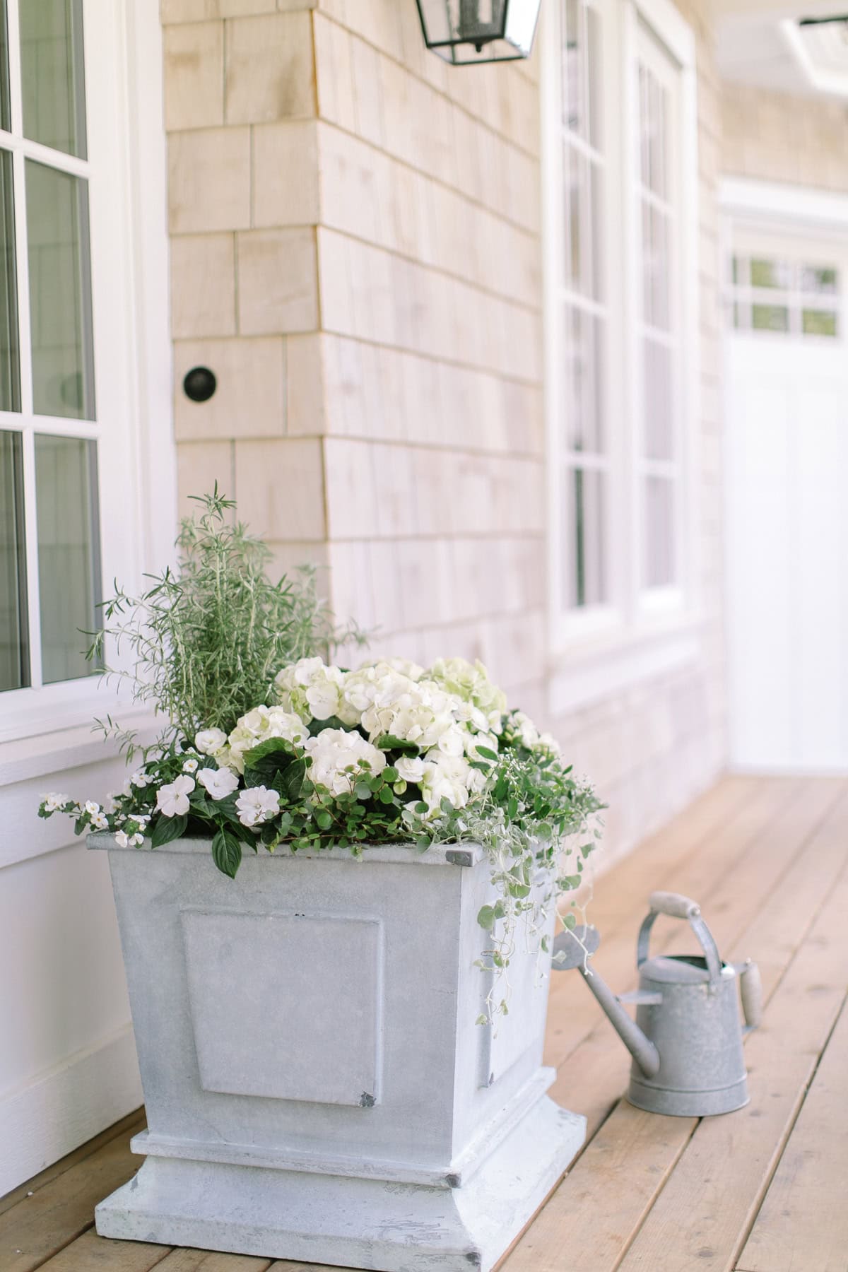 Best Plants For A Front Porch