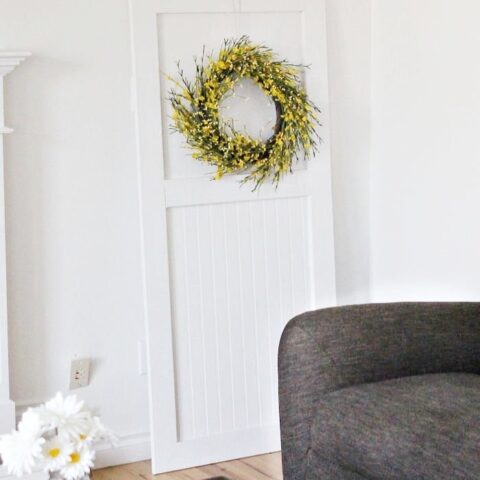 Image for Simple Door Backdrop