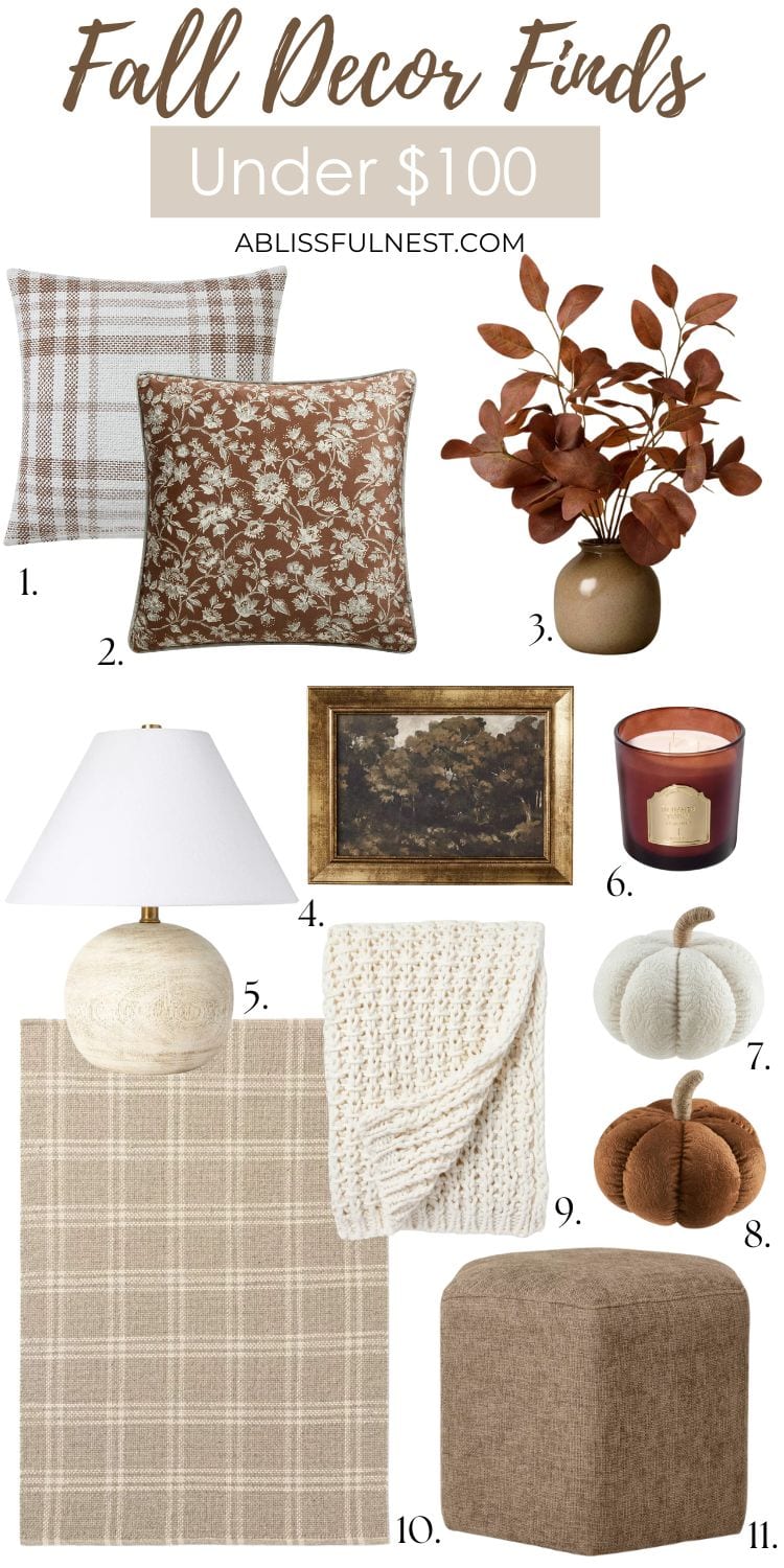 Stylish + Affordable Fall Decor Finds Under $100