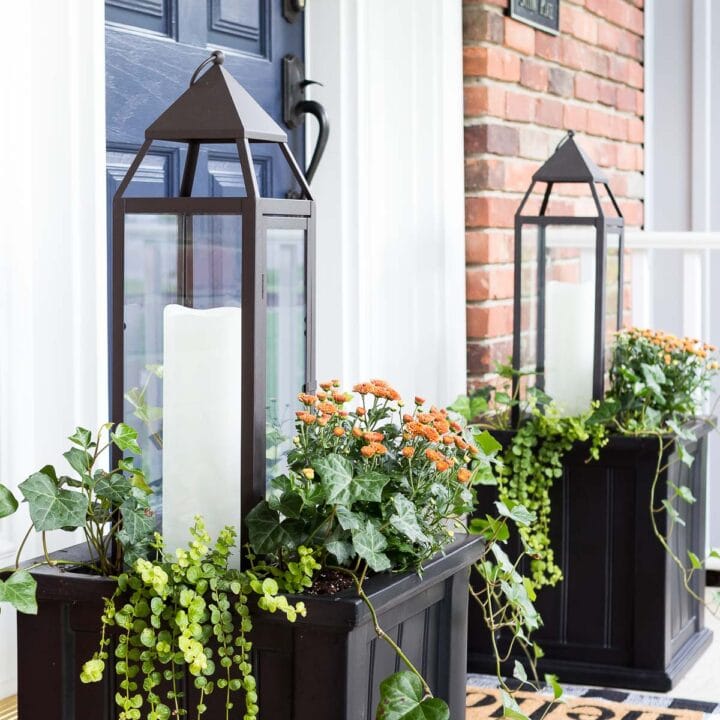 Image for Lanterns in Black Planters
