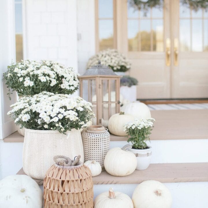 Image for Terracotta & Lantana Beige Resin Planter