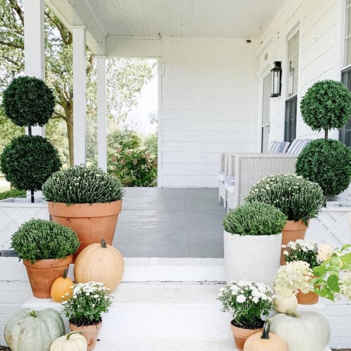 Image for Terracotta & White Ceramic Pots