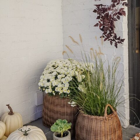 Image for Handled Planter Baskets