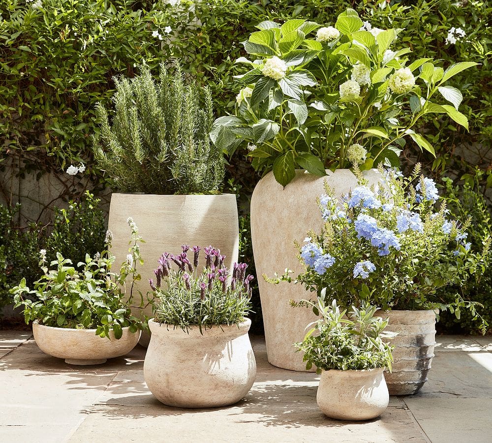 Full Sun Front Porch Planter Ideas