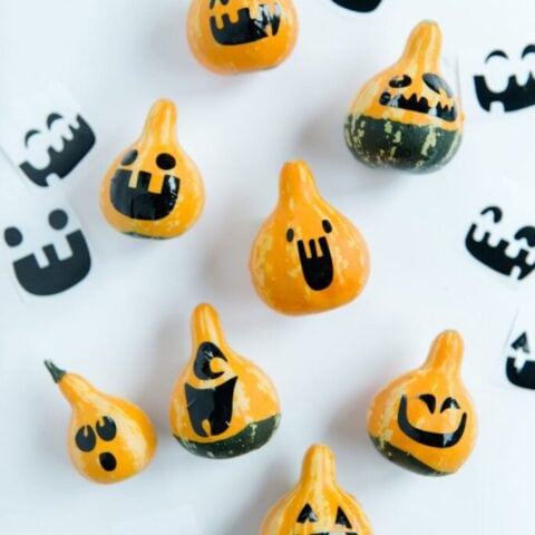 Image for Fall Gourd Face