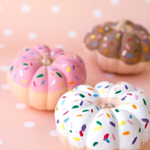 Image for Donut Pumpkins