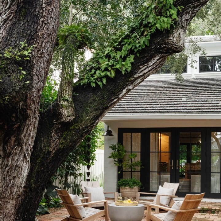 Image for Seating Area Under A Tree
