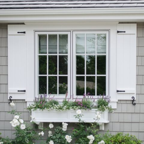 Image for Lush Greenery