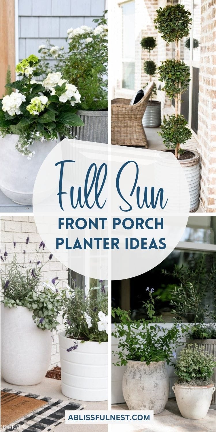 Full Sun Front Porch Planter Ideas A Blissful Nest