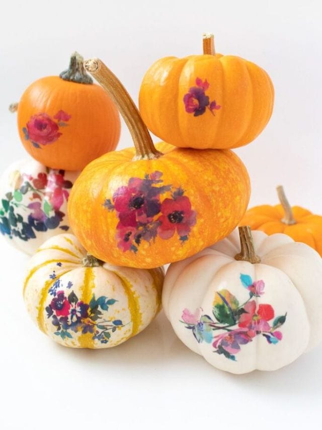 Pumpkin Decorating Ideas-Webstories- Cover