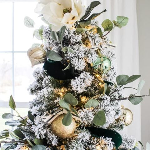 Image for Giant Magnolia Flower