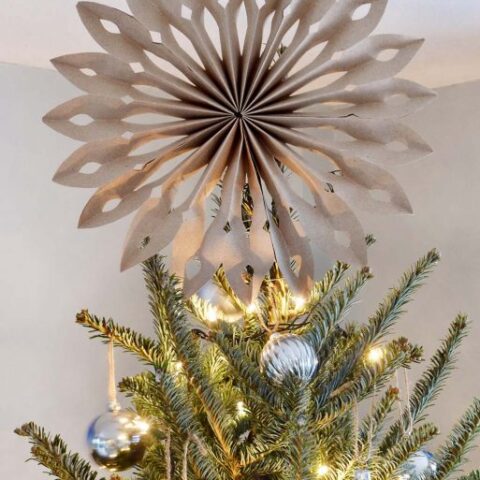 Image for Paper Starburst