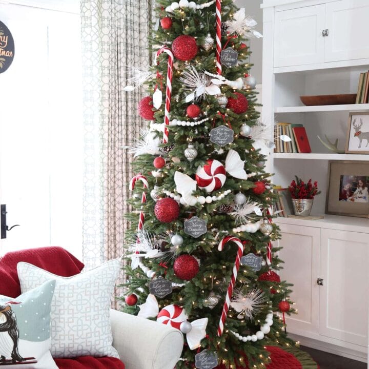 Image for Candy Canes, Red Sparkles, & Peppermint