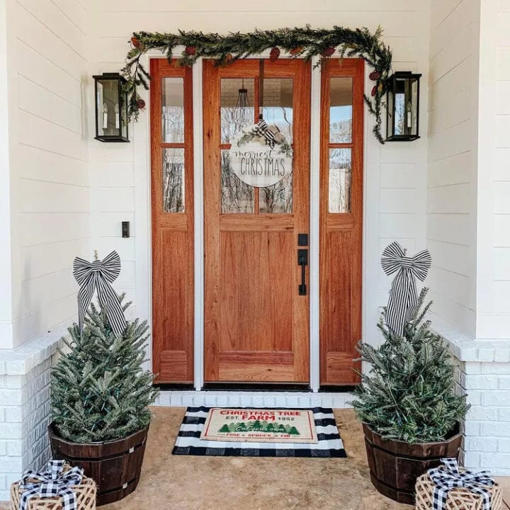 Image for Mini Trees In Rustic Barrels + Plaid Ribbons