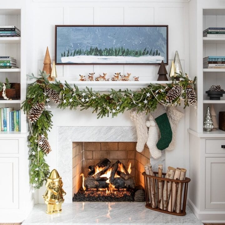 Image for Giant Pinecones & Reindeer 