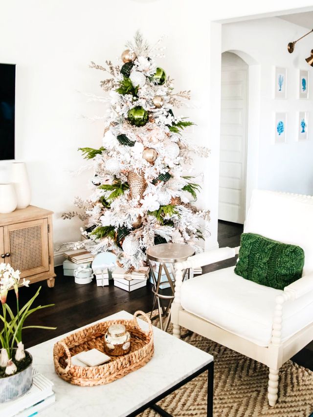 How to Decorate A Christmas Tree – Step By Step Guide-Webstories- Cover