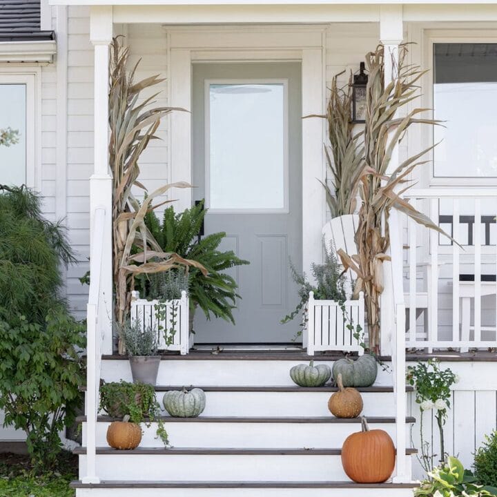 Image for Pumpkins & Corn Stalks