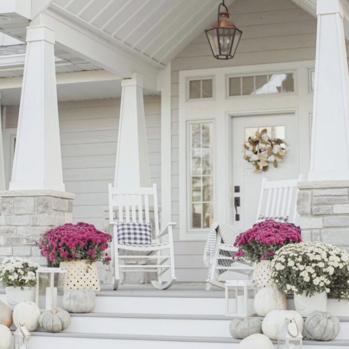 Image for Pink Mums & White Pumpkins