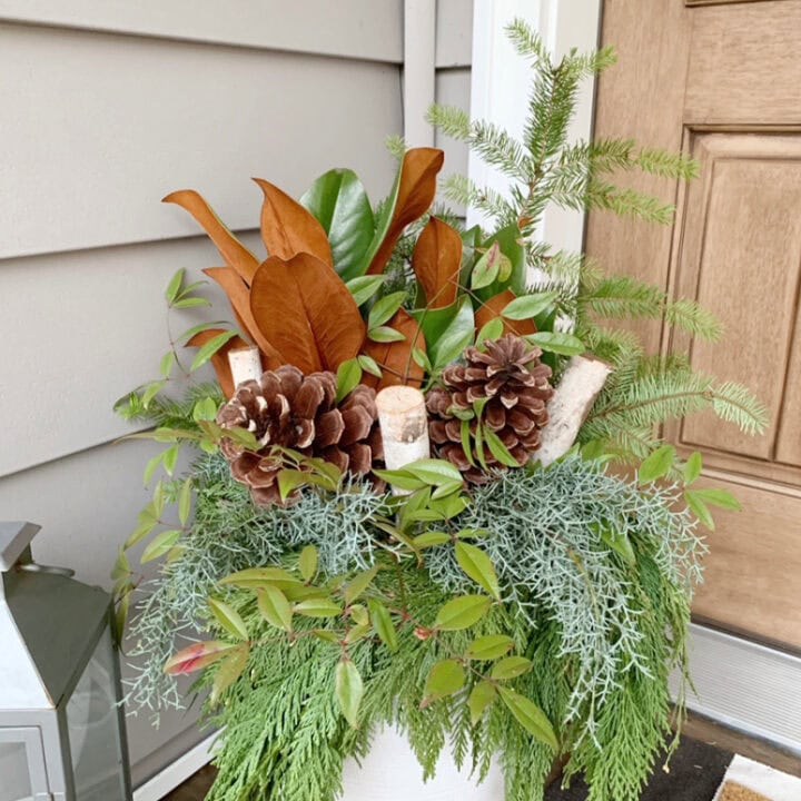 Image for Mixed Lush Evergreens