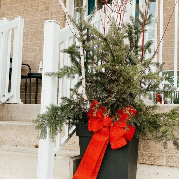 Image for Red Bow Accents