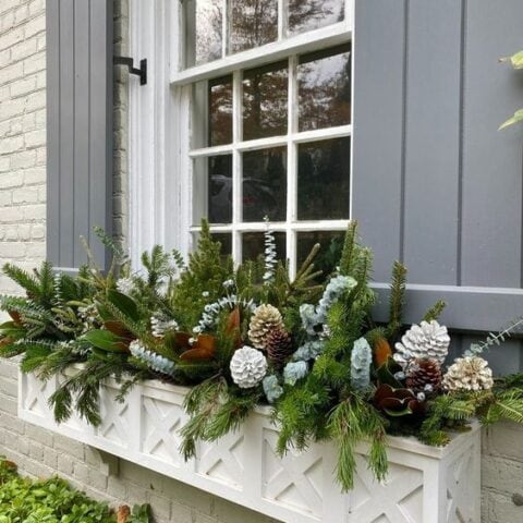 Image for Evergreens & Frosted Pinecones