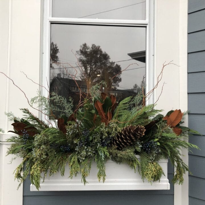 Image for Magnolia Leaves & Berries