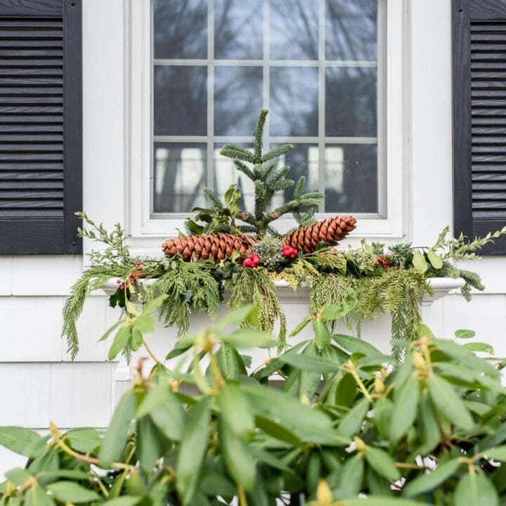 Image for Simple Greenery, Pinecones & Red Berries