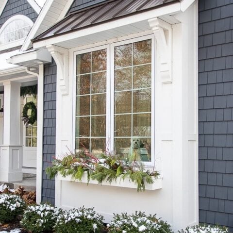 Image for Twigs + Green Pine Branches