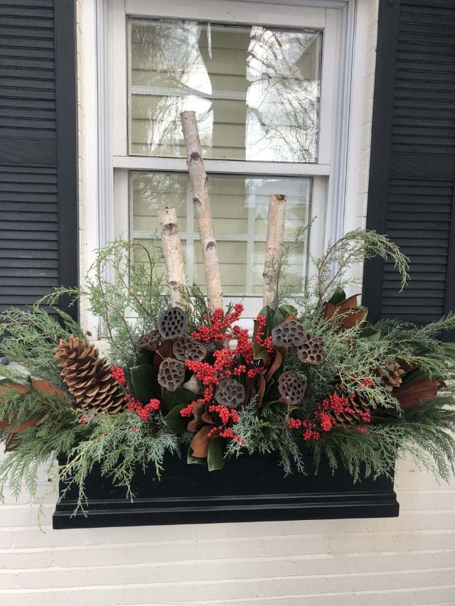 Winter Window Box Ideas - Cover