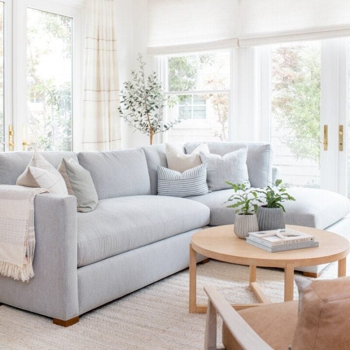 Image for Clean Lines, Soft Blues, & Neutral Rug + Potted Plants