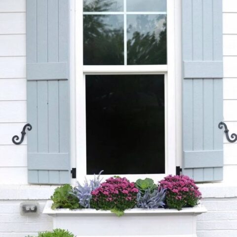 Image for Purple Flowers & Soft Greenery