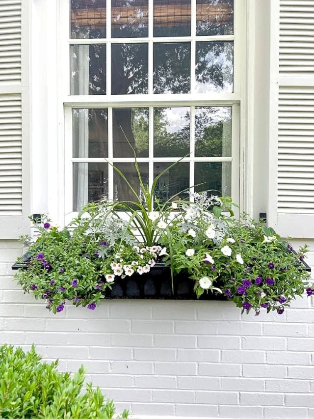 Window Box Ideas With Artificial Flowers -Webstories- Cover