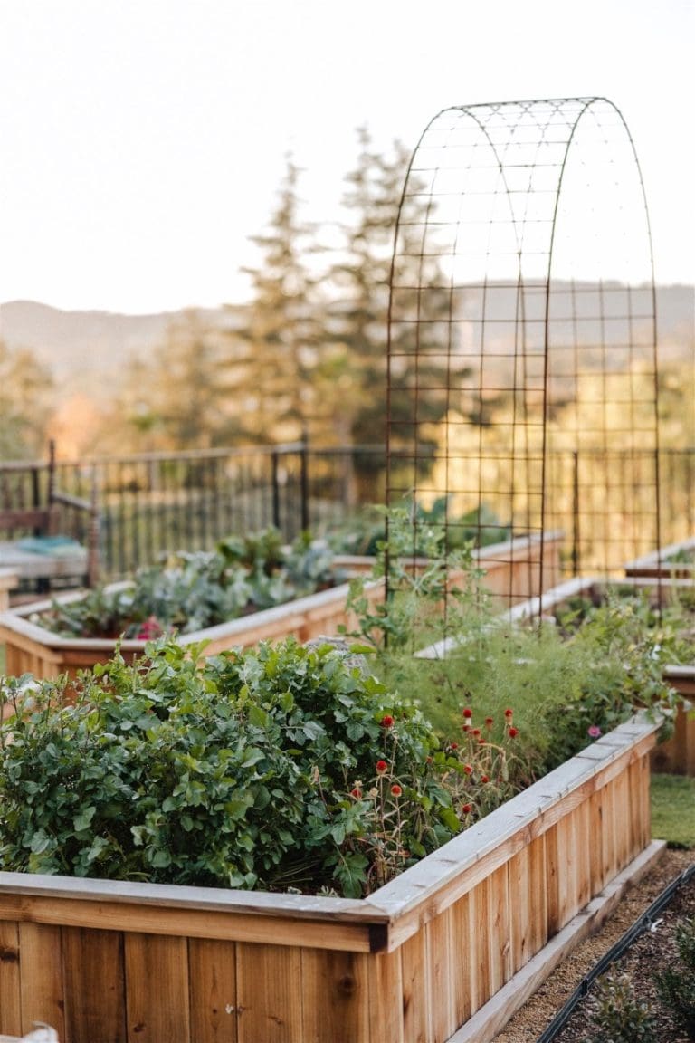 Backyard Garden Box Ideas